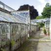 S Glasshouse. N Side. View from E