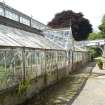 S Glasshouse. N side. View from E