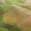 Oblique aerial view of the cropmarks of the trackway, possible enclosure and pits, taken from the NW.