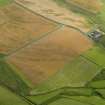 Oblique aerial view of the cropmarks of the trackway, possible enclosure and pits, taken from the W.