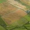 Oblique aerial view of the cropmarks of the trackway, possible enclosure and pits, taken from the W.