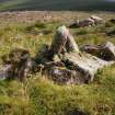 Cnoc an Daimh, marker cairn, view from N.