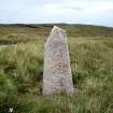 Dunan Mor, milestone, view from the west.