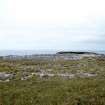 Dùnan Mòr, sheepfold, view from W.