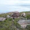 Beinn an Duibhe, windbreak, view from W.