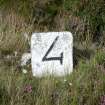 Kearvaig River, milestone, view from S.