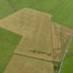 Oblique aerial view centred on the cropmarks of the barrow, enclosures, possible henge, pits and pit-circle at Marchfield, taken from the S.