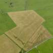 Oblique aerial view centred on the cropmarks of the barrow, enclosures, possible henge, pits and pit-circle at Marchfield, taken from the SE.