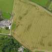 Oblique aerial view of Macharioch farm centred on the cropmarks of the pits, taken from the SE.