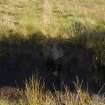 View from S of what may be the footings of a wall exposed in a ditch section at the foot of Sgribhis-beinn.