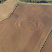 Oblique aerial view of the soilmarks of the fort of The Chesters, Spott, taken from the SE.