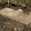 Grave plot no. 1338, David Waddell Lyle, from SE