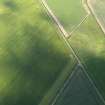 Oblique aerial view centred on the cropmarks of the barrow, taken from the NW.