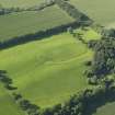 Oblique aerial view centred on the remains of the earthwork and rig, taken from the SSE.