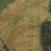 Oblique aerial view of the cropmarks of the rig and furrow and possible souterrain at Woodhill, taken from the WSW.