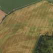 Oblique aerial view of the cropmarks of the rig and furrow and possible souterrain at Woodhill, taken from the SW.