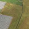 Oblique aerial view of the cropmarks of the rig and furrow, pits and unenclosed round houses at East Scryne, taken from the SE.