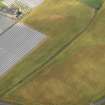 Oblique aerial view of the cropmarks of the rig and furrow, pits and unenclosed round houses at East Scryne, taken from the E.