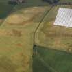 Oblique aerial view of the cropmarks of the rig and furrow, pits and unenclosed round houses at Hatton Farm, taken from the NW.