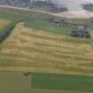 Oblique aerial view centred on the cropmarks of the rig and ring ditch and the village of East Haven, taken from the WNW.