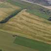 Oblique aerial view centred on the cropmarks of the rig and pits and the village of East Haven, taken from the WNW.