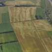 Oblique aerial view centred on the cropmarks of the rig and enclosure near East Haven, taken from the SW.