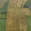 Oblique aerial view centred on the cropmarks of the rig and enclosure near East Haven, taken from the SW.
