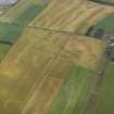 Oblique aerial view centred on the cropmarks of the rig and enclosure near East Haven, taken from the SW.