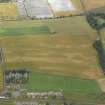 Oblique aerial view centred on the cropmarks of the rig and pits near East Haven, taken from the SE.