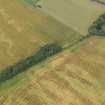Oblique aerial view centred on the cropmarks of the rig and ring ditch near Hatton Country House, taken from the ENE.