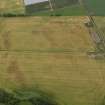 Oblique aerial view centred on the cropmarks of the rig, pits and barrows on Craigmill Farm, taken from the WSW.