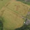 Oblique aerial view centred on the cropmarks of the rig, pits and barrows on Craigmill Farm, taken from the SW.