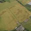 Oblique aerial view centred on the cropmarks of the rig, pits and barrows on Craigmill Farm, taken from the S.