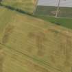 Oblique aerial view centred on the cropmarks of the rig, pits and barrows on Craigmill Farm, taken from the SW.