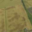 Oblique aerial view centred on the cropmarks of the rig, pits and barrows on Craigmill Farm, taken from the SSW.