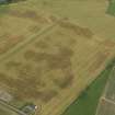 Oblique aerial view centred on the cropmarks of the rig, pits and barrows on Craigmill Farm, taken from the ESE.