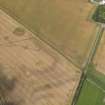 Oblique aerial view of the cropmarks of the round houses and ring ditches of the unenclosed settlement at Newbigging, taken from the SE.