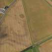 Oblique aerial view of the cropmarks of the round houses and ring ditches of the unenclosed settlement at Newbigging, taken from the E.