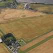 Oblique aerial view of the cropmarks of the round houses and ring ditches of the unenclosed settlement and the farmsteading at Newbigging, taken from the N.
