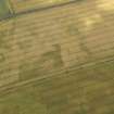 Oblique aerial view of the cropmarks of the ring ditch, building and rig and furrow at Shiells, taken from the WSW.