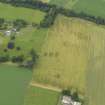 Oblique aerial view of the cropmarks of the ring ditch, legionary fortress and rig and furrow at Carpow with the Carpow House adjacent, taken from the SSE.