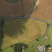 Oblique aerial view of the cropmarks of the souterrain and round houses at Easter Kinnear, taken from the SE.