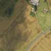 Oblique aerial view of the cropmarks of the souterrain and round houses at Easter Kinnear, taken from the NNE.