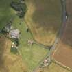 Oblique aerial view of the cropmarks of the souterrain and round houses at Easter Kinnear, taken from the NNE.