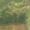 Oblique aerial view of the cropmarks of the round houses, ring ditches, pits and rig and furrow at Leuchars, taken from the E.