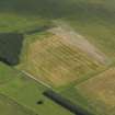 Oblique aerial view of the cropmarks of the round houses, pits, rig and furrow and possible mortuary enclosure at Dumbarnie, taken from the NW.