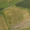 Oblique aerial view of the cropmarks of the round houses, pits, rig and furrow and possible mortuary enclosure at Dumbarnie, taken from the SSW.