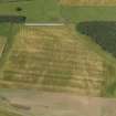 Oblique aerial view of the cropmarks of the round houses, pits, rig and furrow and possible mortuary enclosure at Dumbarnie, taken from the S.