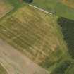 Oblique aerial view of the cropmarks of the round houses, pits, rig and furrow and possible mortuary enclosure at Dumbarnie, taken from the SSE.