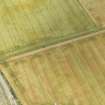 Oblique aerial view centred on the cropmarks of the settlement at Howe Mire, taken from the NNW.